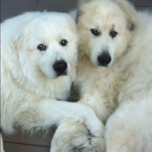 Welcome to my Closet ☀️ - Picture 4 of 5